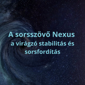 Sorsszövő Nexus